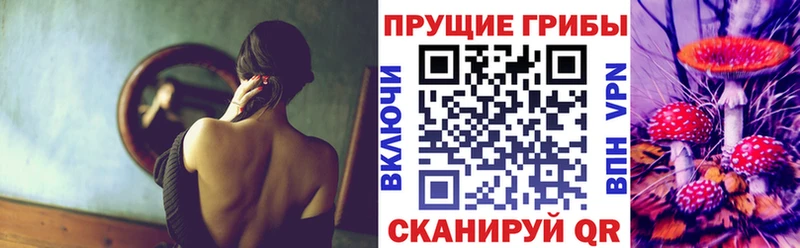 Псилоцибиновые грибы мухоморы  где купить   Аргун 
